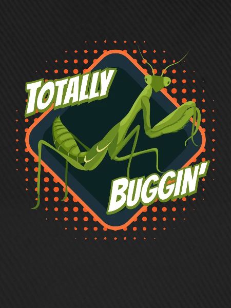 Totally Buggin Grasshopper Grasshopper