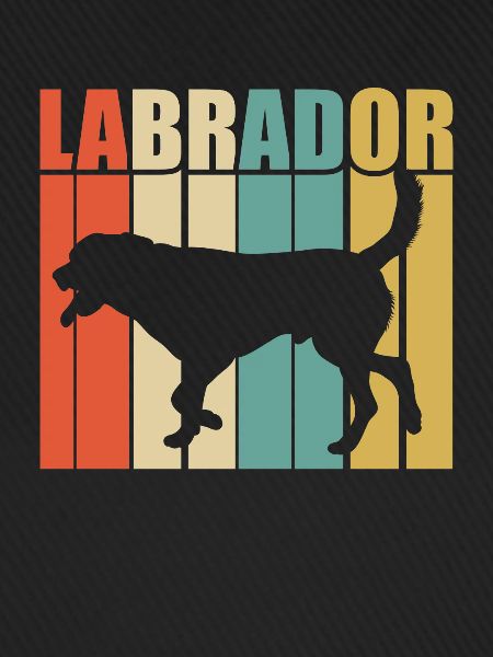 Labrador rétro