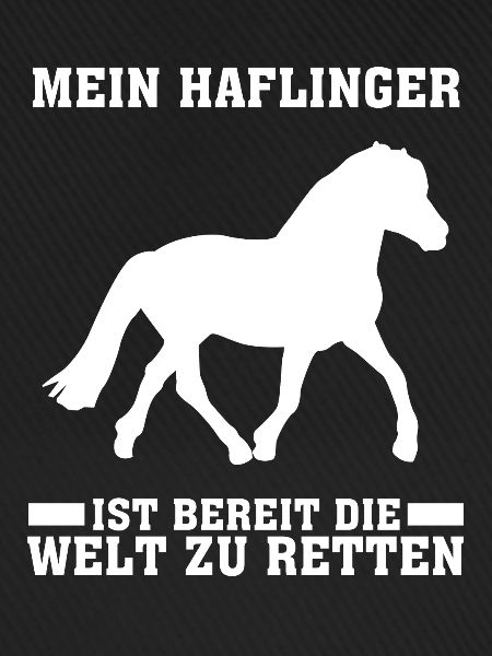 Haflinger Reiten
