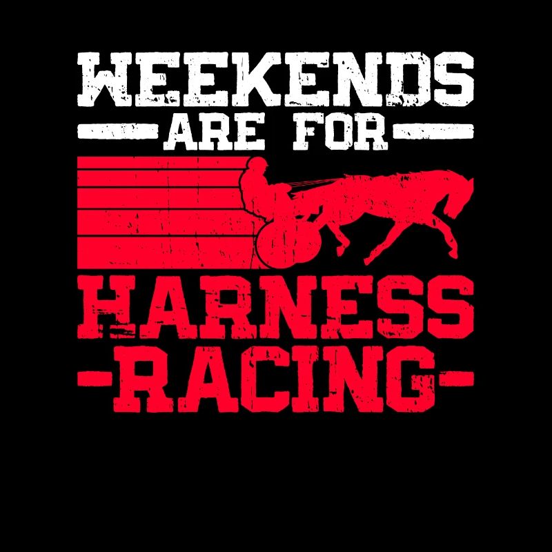Les week-ends sont pour les courses de trot - courses de chevaux