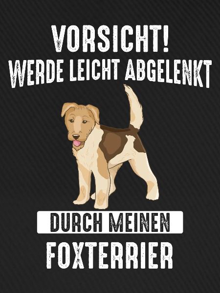 Foxterrier Drahthaar Hund