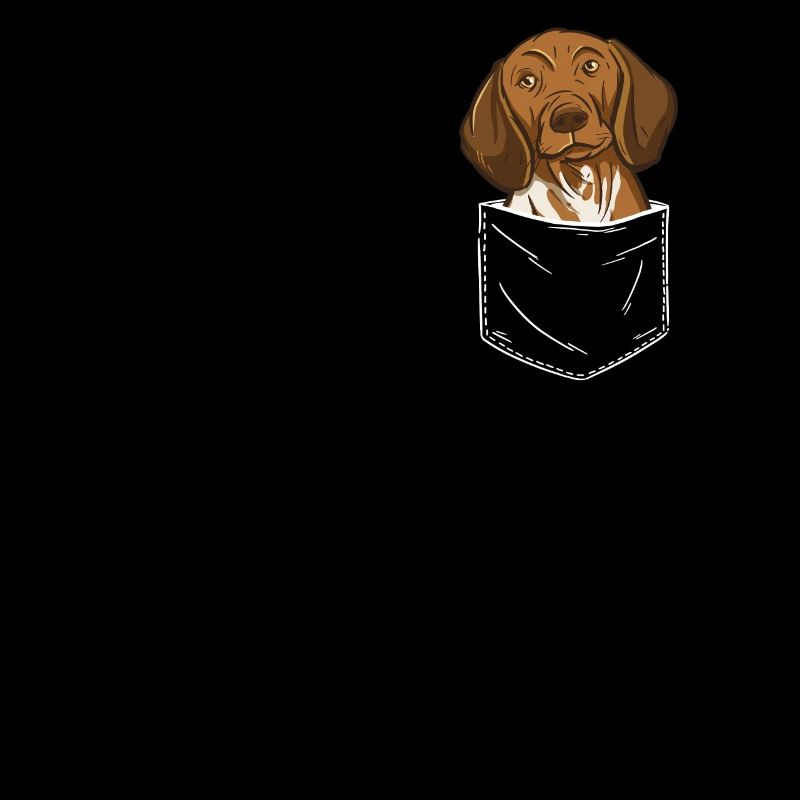 Deutsch Kurzhaar Hund
