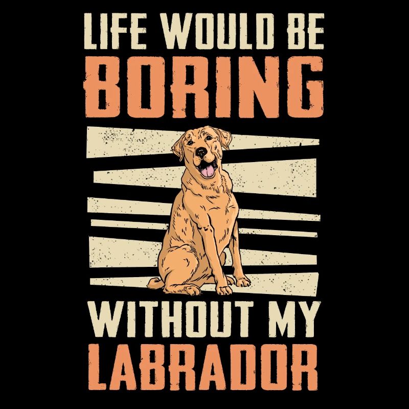 Chien Labrador