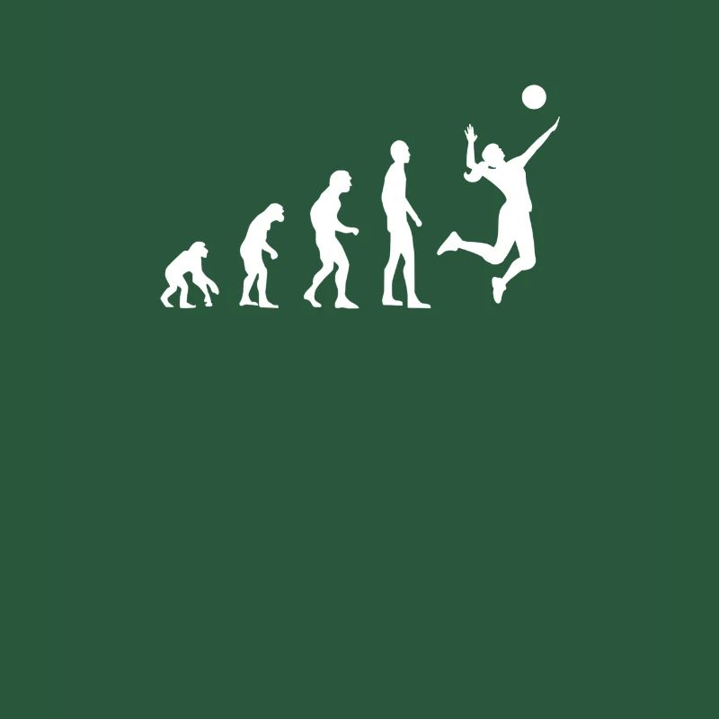 Volleyball Evolution