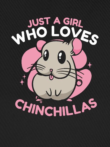 Chinchilla Chinchilla's Mouse