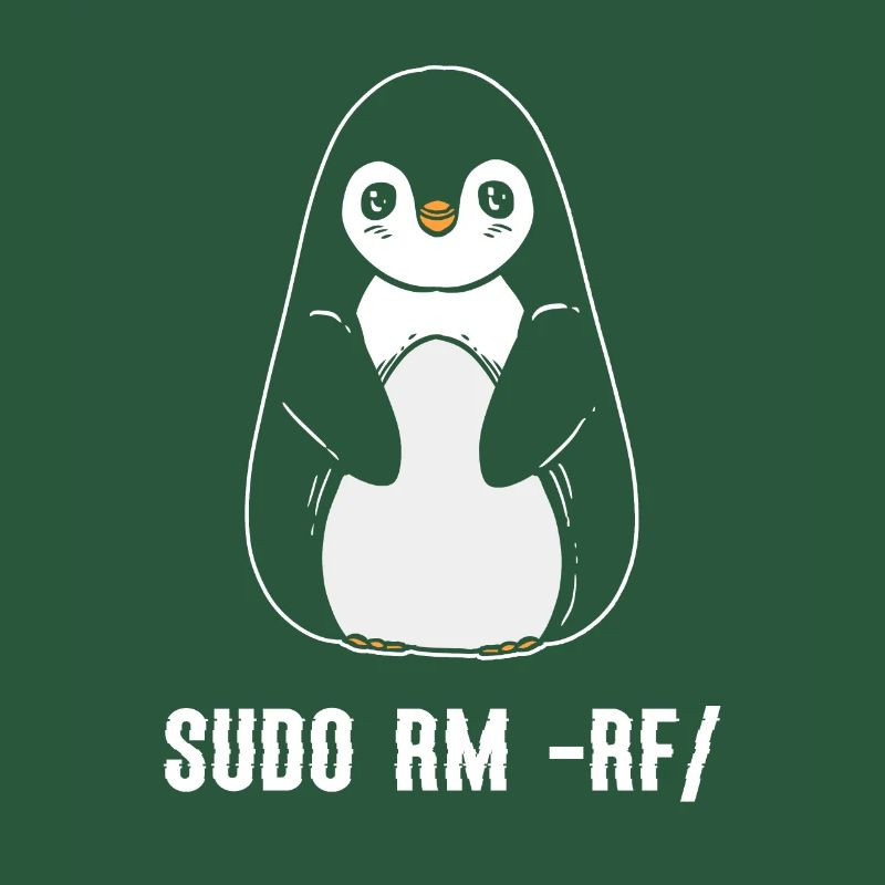 sudo rm rf / Programmeur informatique Linux