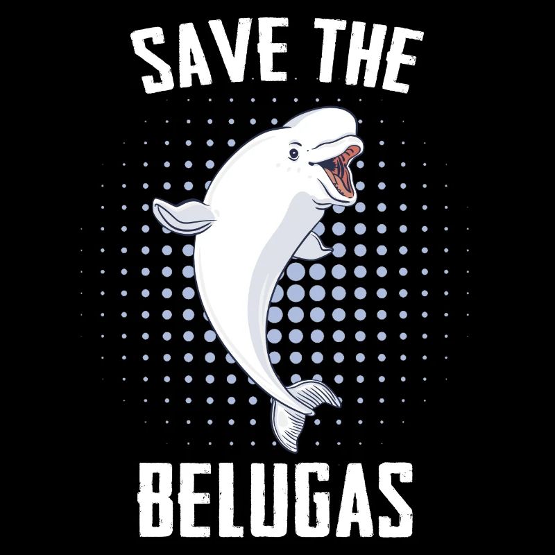 Bélugas Océan Bélugas Baleines