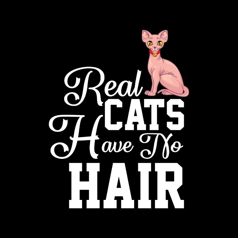 Sphynx Cat 1