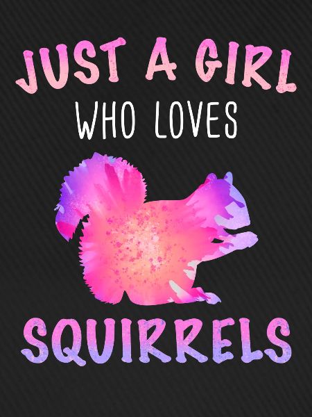 Squirrel Animal