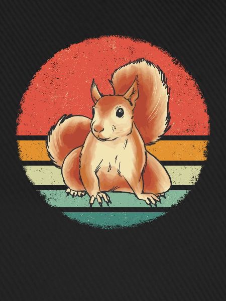 Squirrel Animal