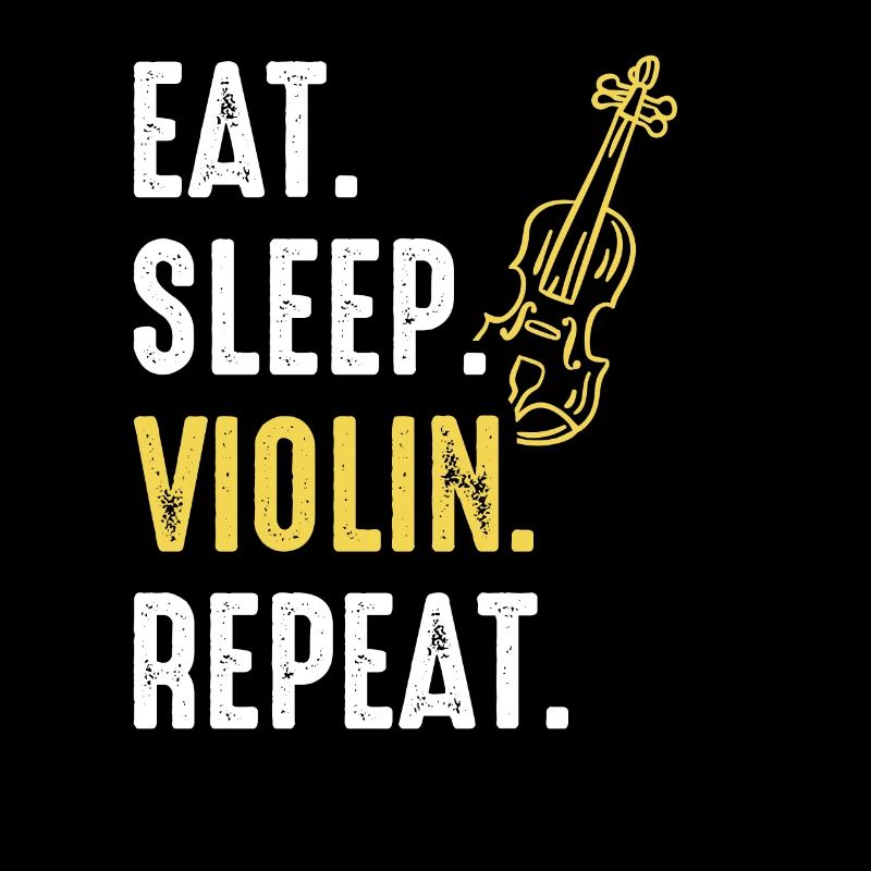 Violon Violon Instrument Violoniste