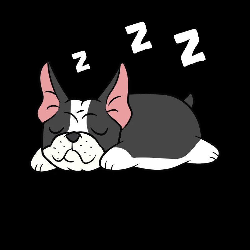 Boston Terrier Pyjama Mignon Boston Terrier