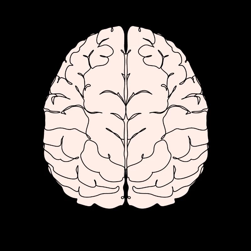 brain brain brain intelligence smart smart student university
