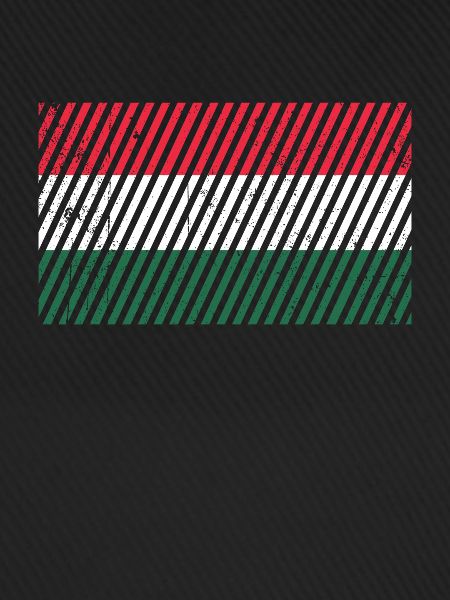 Hungary flag