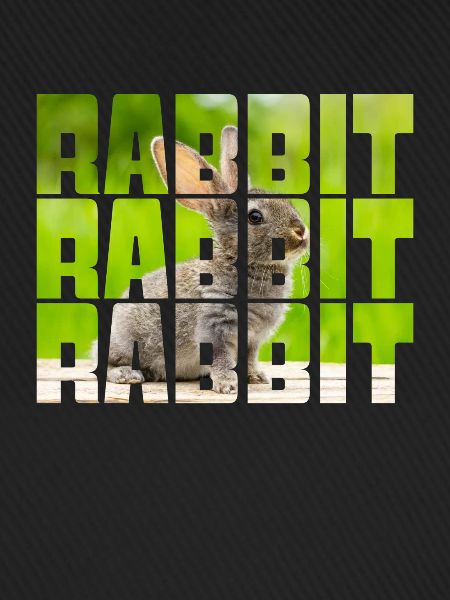 Hare