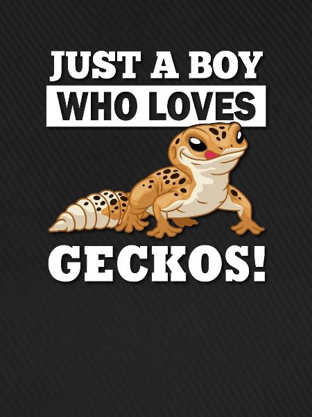Leopard Gecko