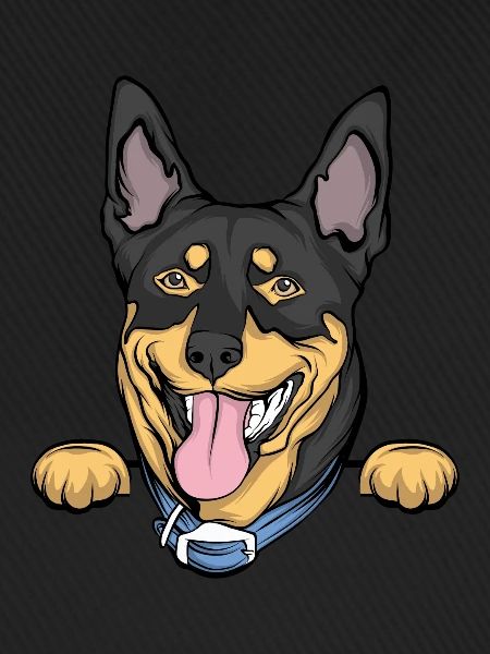 Dobermann