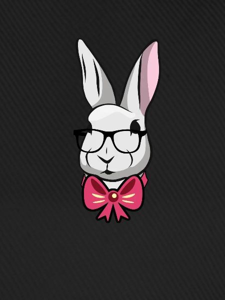 Cute Easter Rabbit Fly