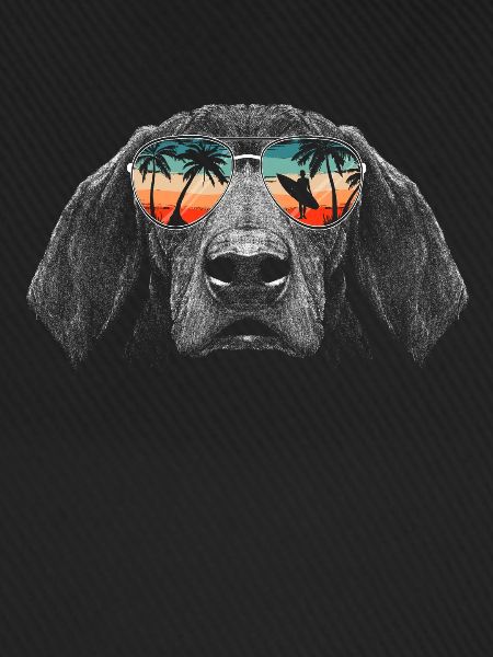 Dachshund Dog
