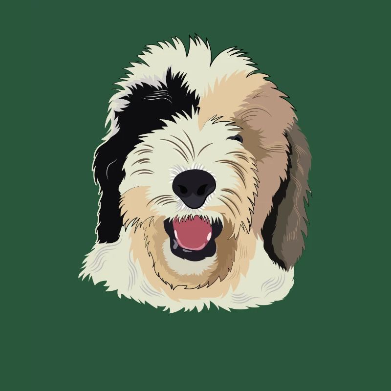 Sheepadoodle Hund Geschenk