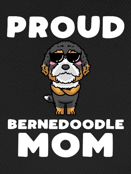 Bernedoodle Dog