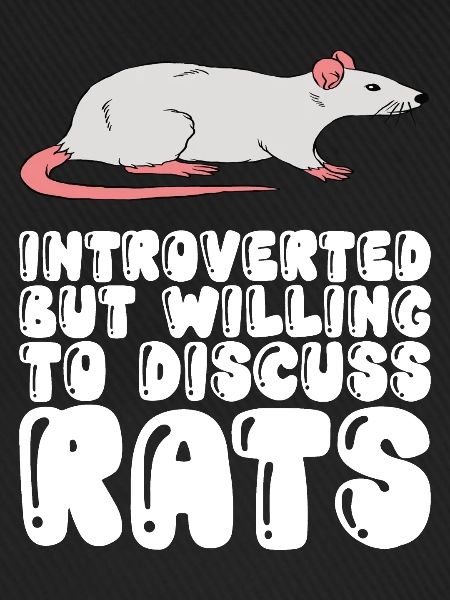 Introverted talking about rats