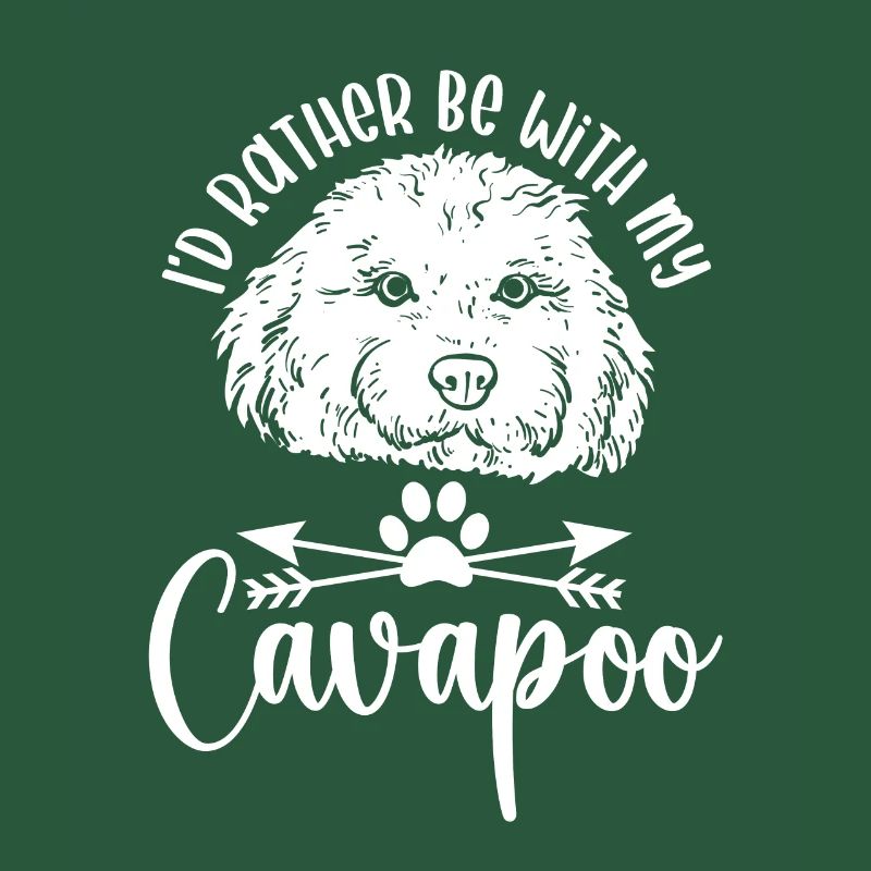 Cavapoo Cavoodle Capoodle Hund