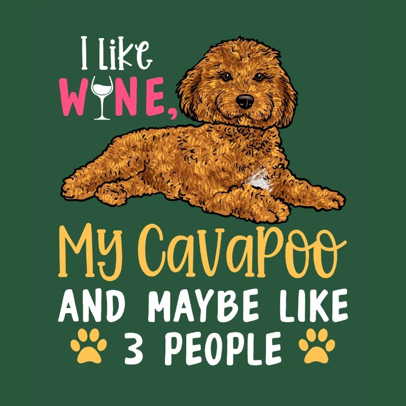 Cavapoo Cavoodle Capoodle Hund