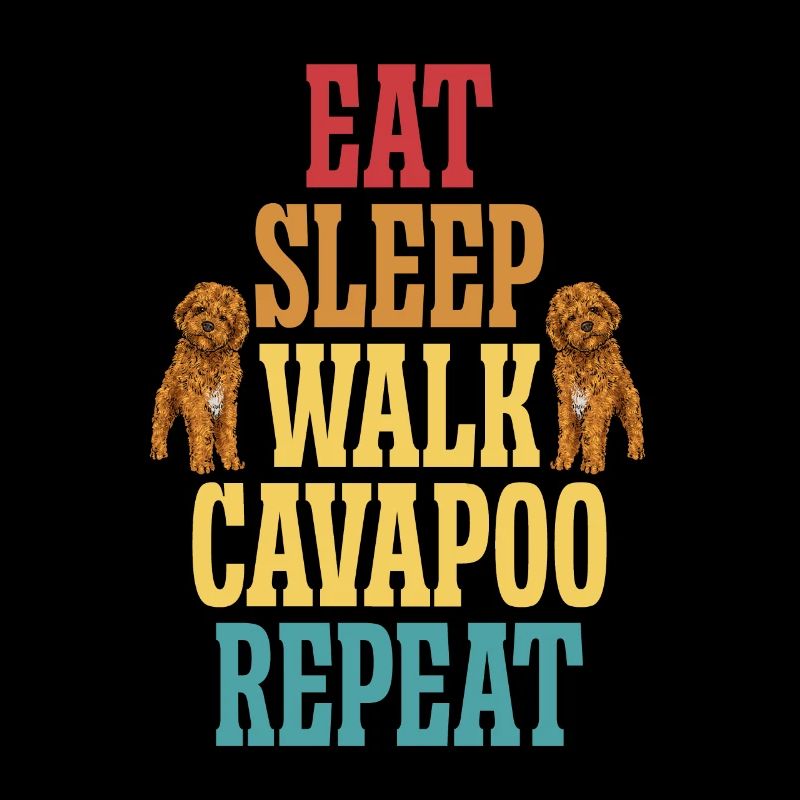 Cavapoo Cavoodle Capoodle Hund