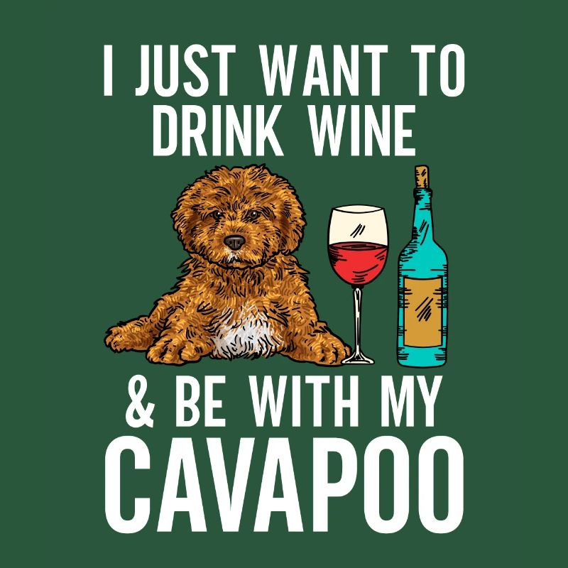 Cavapoo Cavoodle Capoodle Chien