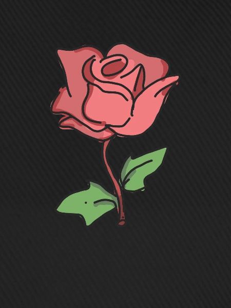Rose Red Rose Hand-drawn