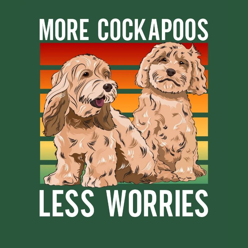 Cockapoo Hund