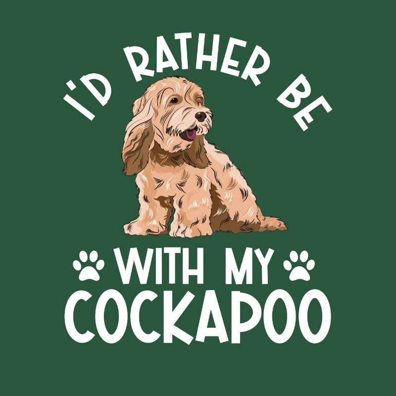 Cockapoo Hund