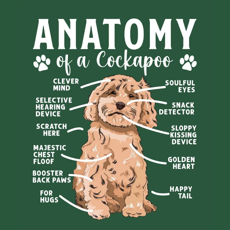 Cockapoo Hund