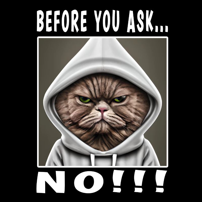 Before you ask no