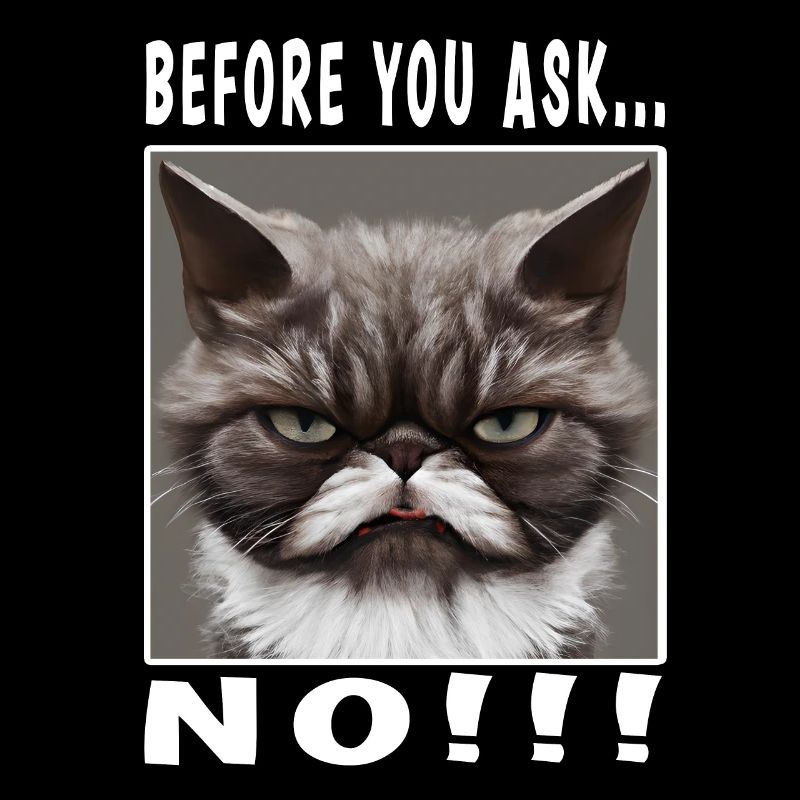 Before you ask no