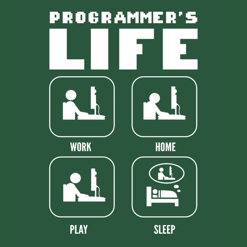 Programmers Life. Work Home Play Sleep Programming