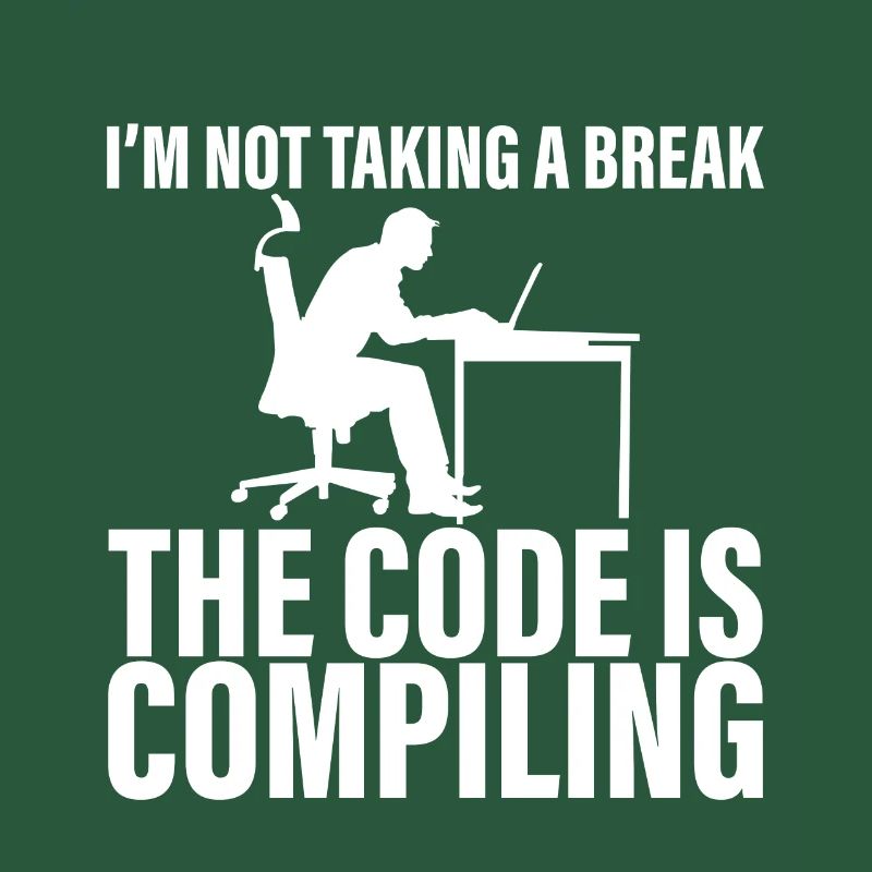 I'm Not Taking A Break, The Code Is Compiling 4