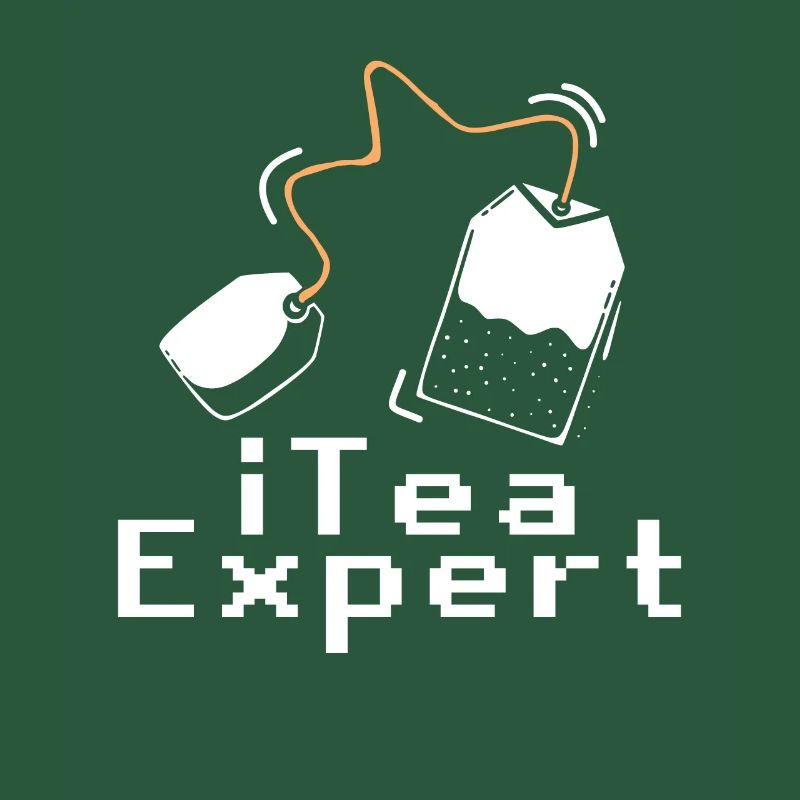 Itea Expert Computer Software Programmer