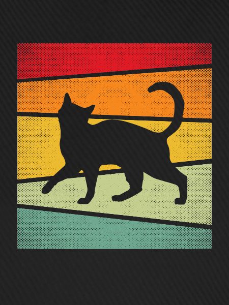 Chat Rétro