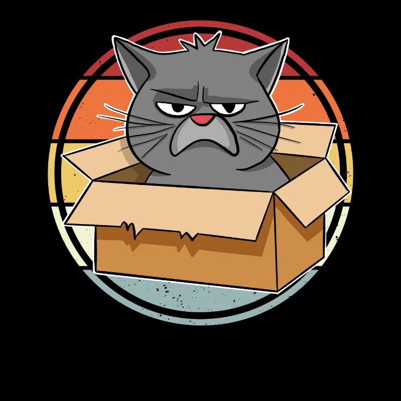 Katze Im Karton