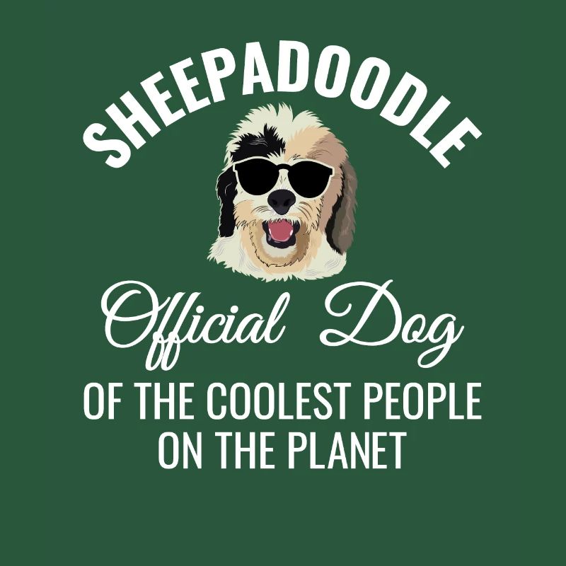 Sheepadoodle Doodle Dog