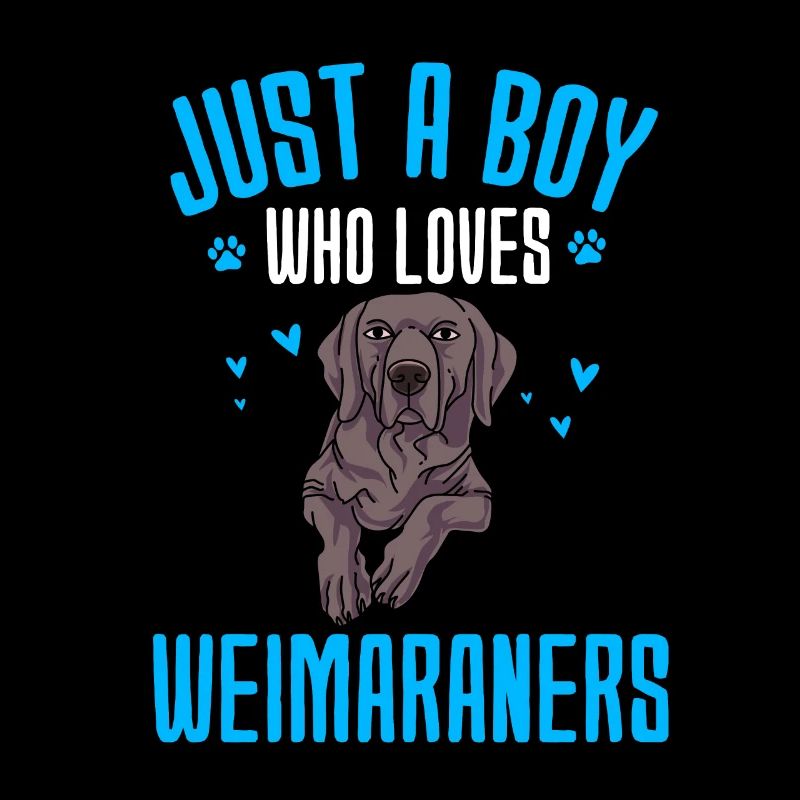 Weimaraner