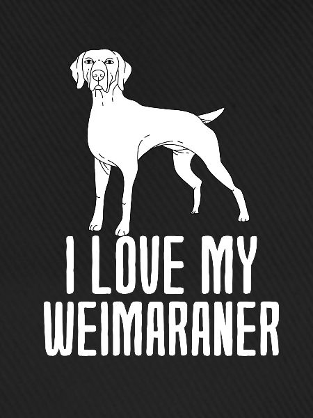Weimaraner