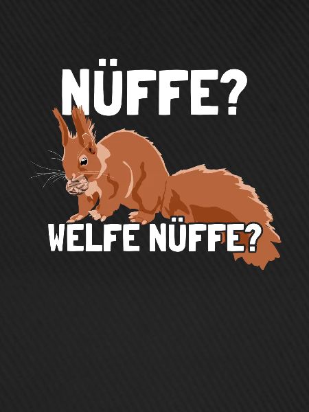 Nüffe Welfe Nüffe Grauhörnchen Squirrel