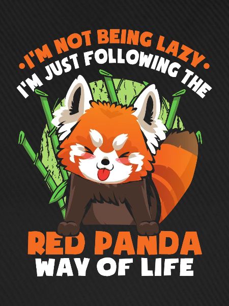 I'm Not Being Lazy
