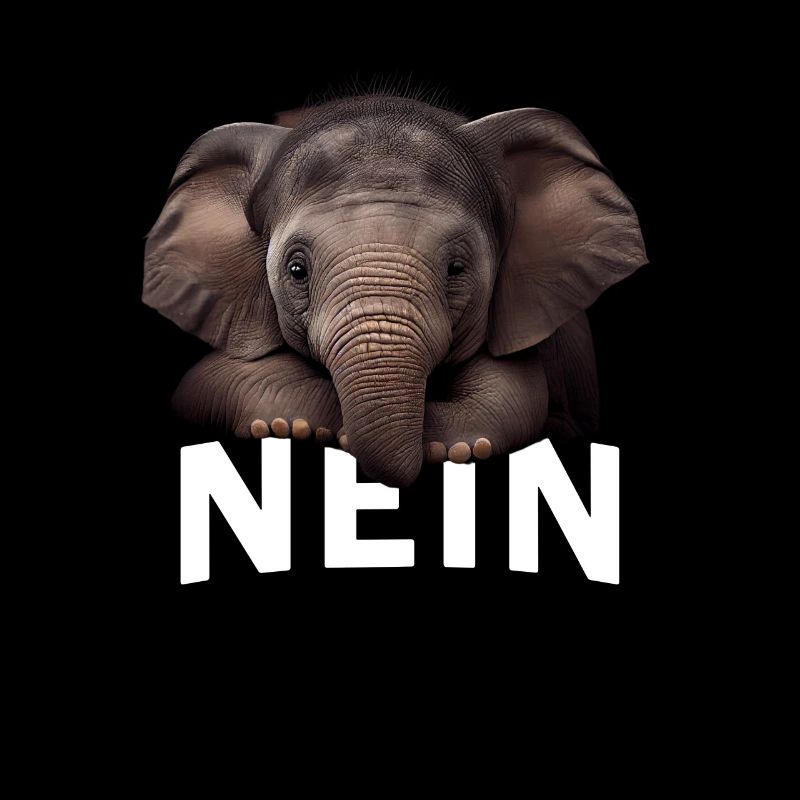 Statement Elephant, Nö Fun, Einfach Nö, Nein