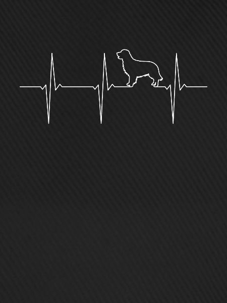 Golden Retriever ECG Herzschalg