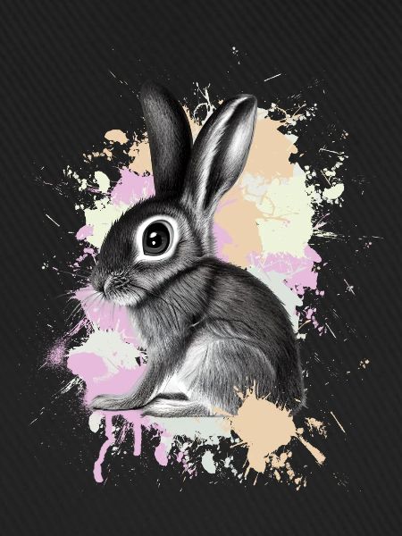 Rabbit Rabbit