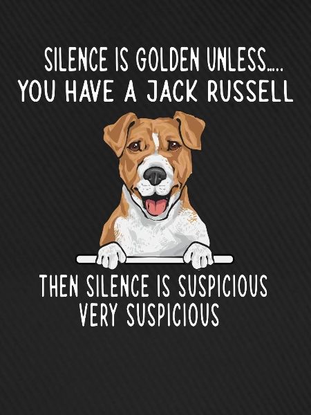 Jack Russell Terrier